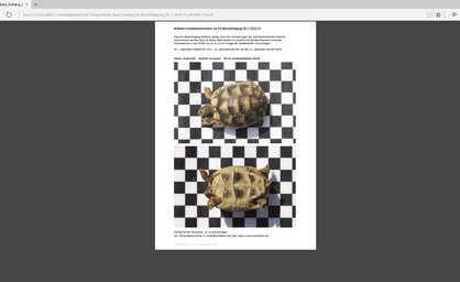 Testudo Base 2 Anlage zur EU-Bescheinigung